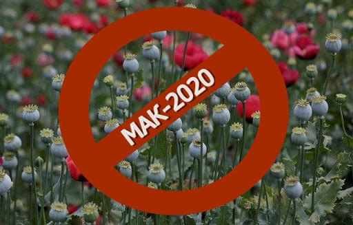 В Усть-Лабинском районе завершился четвёртый этап операции "МАК-2020"